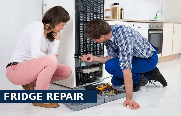 Fridge Repair East Sheen
